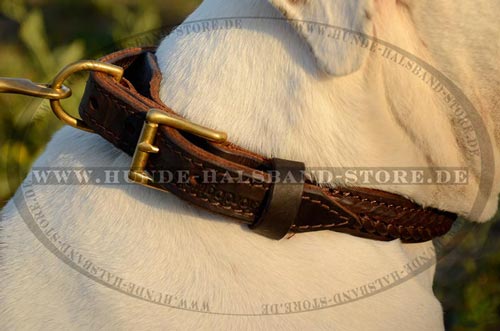 Hundehalsband mit schönen Flechten