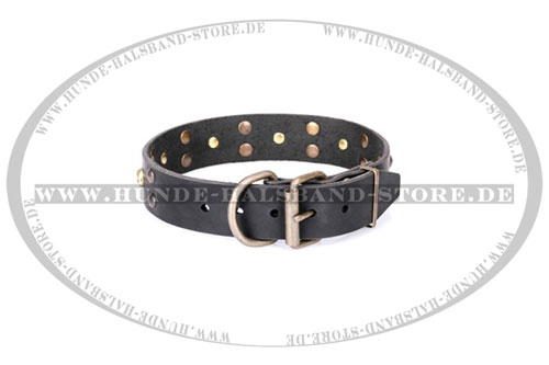 Halsband aus erstklassigem Leder