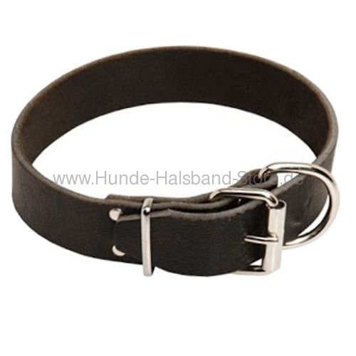 Hundehalsband für Malinois schwarz