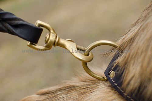 Shar Pei Halsband aus Nylon