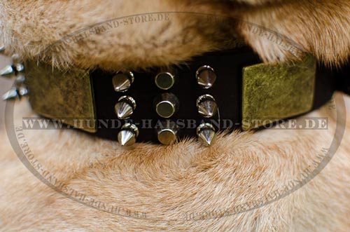  Designer
Hundehalsband aus Fettleder