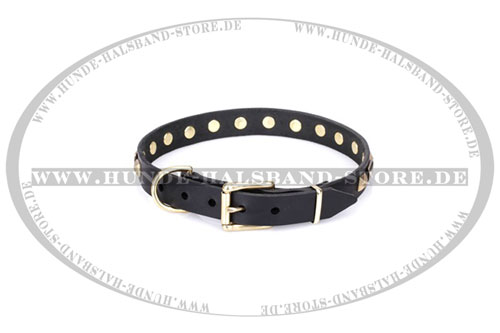 exklusives Halsband 30 mm