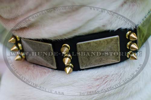 Hundehalsband aus Leder mit Platten 