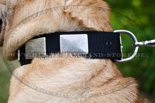 Hundehalsband mit
Reihe von Schildern