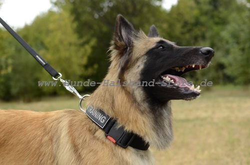 extra festes und bequemes Hundehalsband 