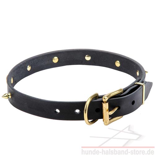 stilvolles Halsband Hund