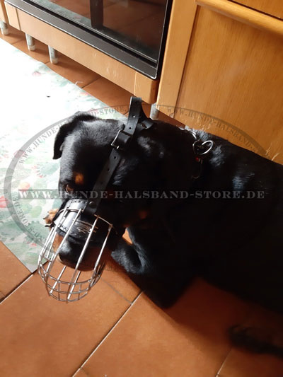 Hundehalsband fuer
Dressur und Maulkorb