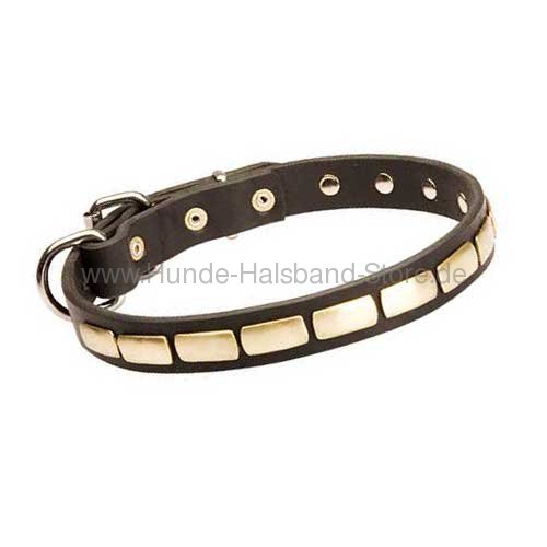 Hundehalsband aus Leder mit Messingplatten 