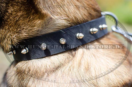 Lederhalsband für Malinois 