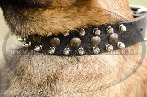Hundehalsband aus Leder fuer Malinois