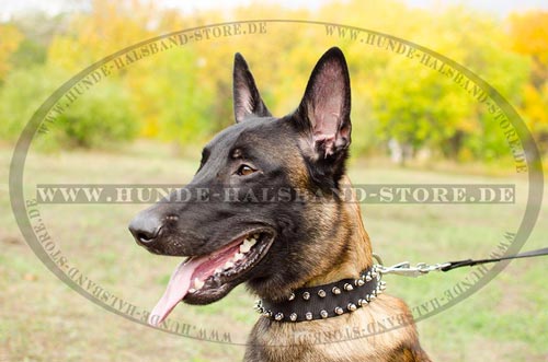 Hundehalsband aus Nylon fuer Malinois mit Schmuck