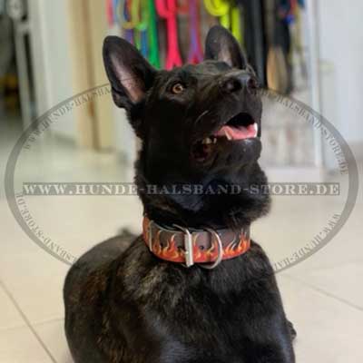  Designer
Hundehalsband mit Flamme Muster am Hund