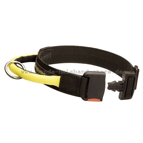 hochqualitatives Halsband fuer Cane Corso