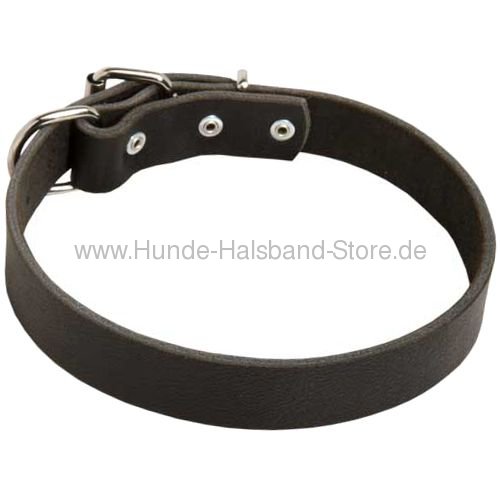 Hundehalsband aus Leder perfekt 