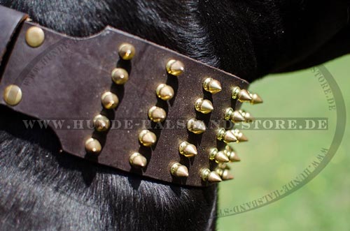  hochwertiges Lederhalsband mit 5 Reihen Spikes