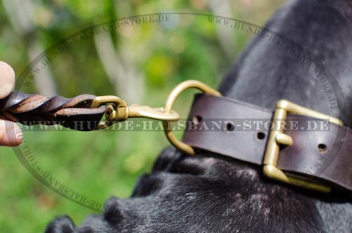 Hundehalsband aus echtem Leder