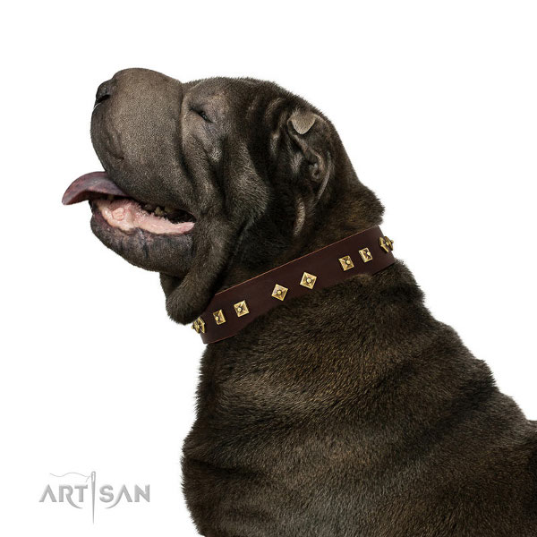 Halsband aus echtem Leder am Hund