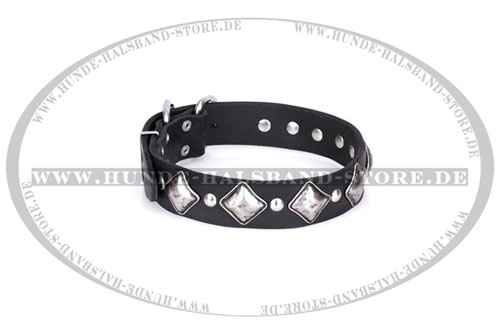 stilvolles Halsband von Fordogtrainers 