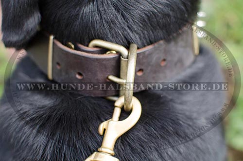 Hundehalsband aus Leder stilvoll