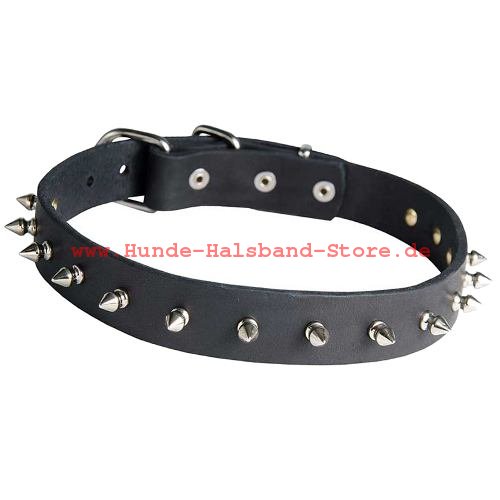  phantastisches Halsband aus Fettleder