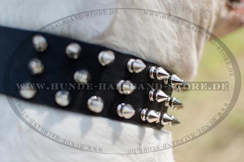 Hundehalsband mit 3 Reihen von Spikes