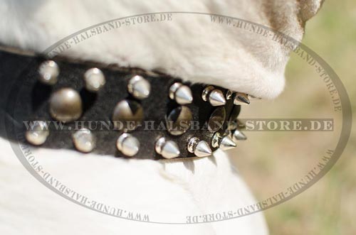 Lederhalsband mit Nieten und Spikes