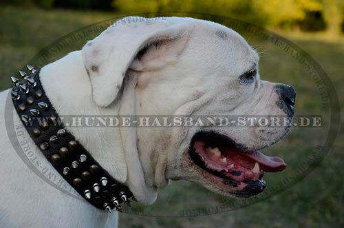 Halsband mit originellem Stil