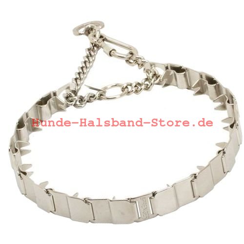 Hundehalsband fürs Training