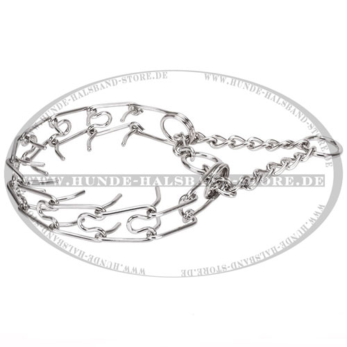 rostfreies Stachelhalsband
