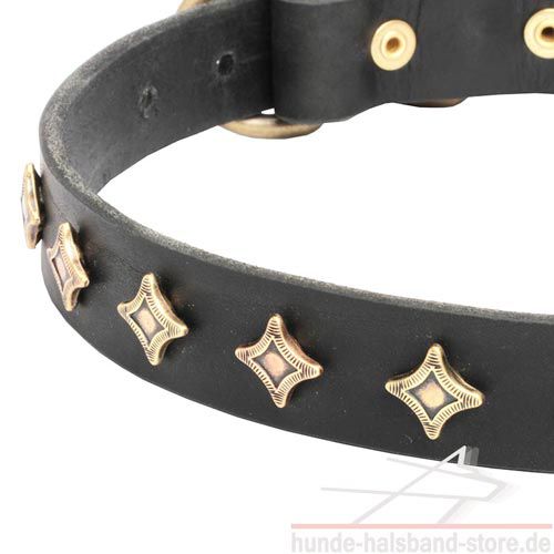 stilvolles Halsband Hund