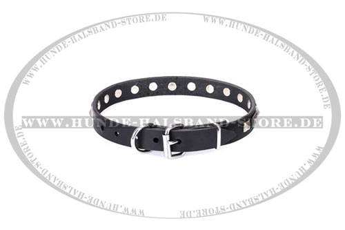  schickes Halsband 30 mm