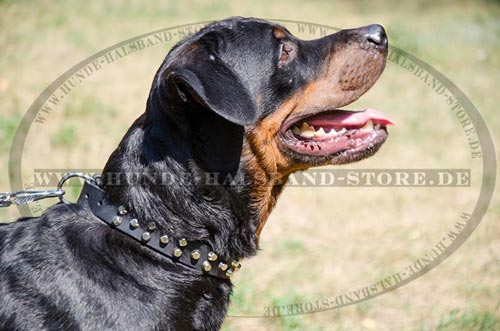 Vernickeltes Schmuck am Halsband Leder