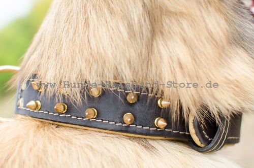 gepolstertes Halsband mit Spikes