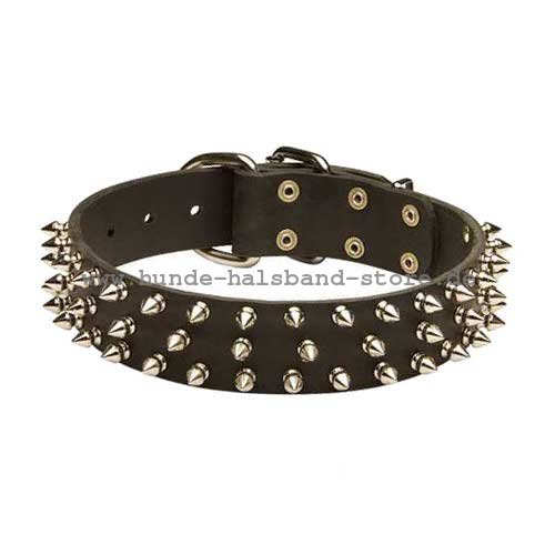 erstklassiges Halsband mit Spikes