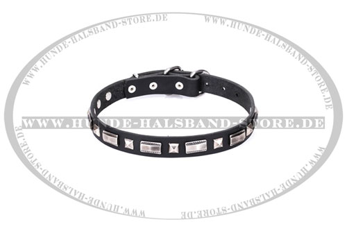 Stilvolles Hundehalsband originell  