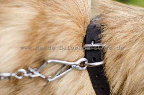 haltbares Halsband aus Leder