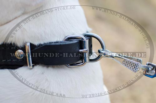 Hundehalsband mit festen Metallteilen