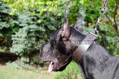 Hundehalsband aus erstklassigem Leder