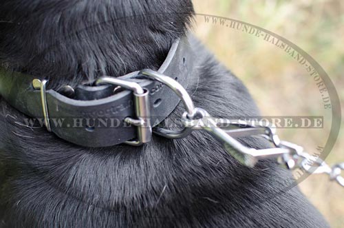 Hundehalsband aus Leder stilvoll
