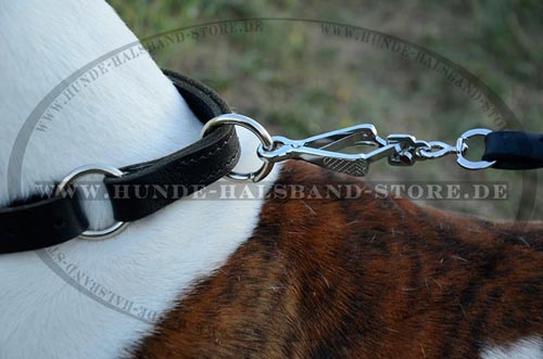 Hundehalsband aus geöltem Leder