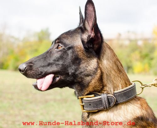 Hundehalsband aus Leder fuer Malinois