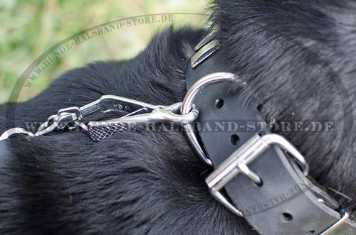 Hundehalsband aus Leder stilvoll