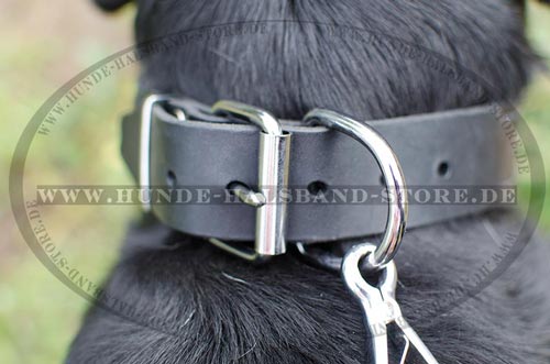 Halsband für Sennenhund 