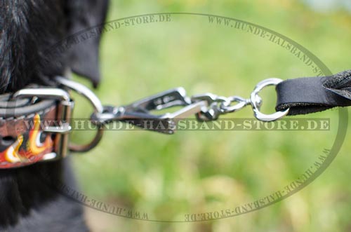 Hundehalsband aus Leder stilvoll