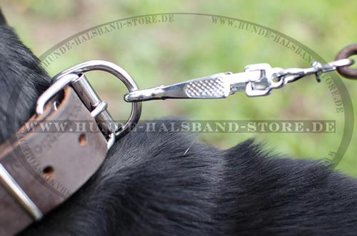 Hundehalsband für Schweizer Sennenhund breit