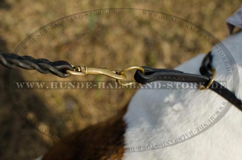 Hundehalsband mit Messing Ringen