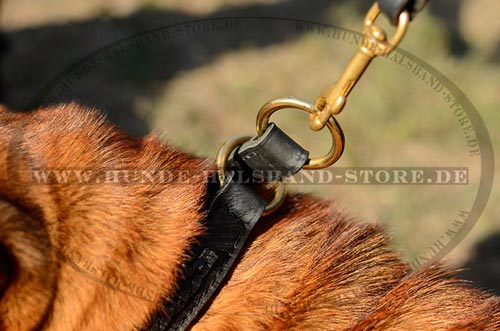 k9 Halsband mit Flechten 