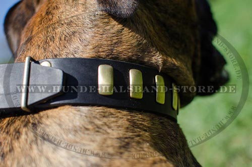 Halsband für Boxer breit