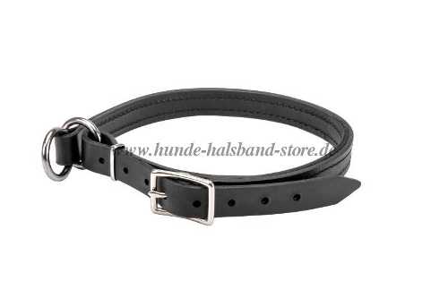 Hundehalsband mit robusten Metallteilen