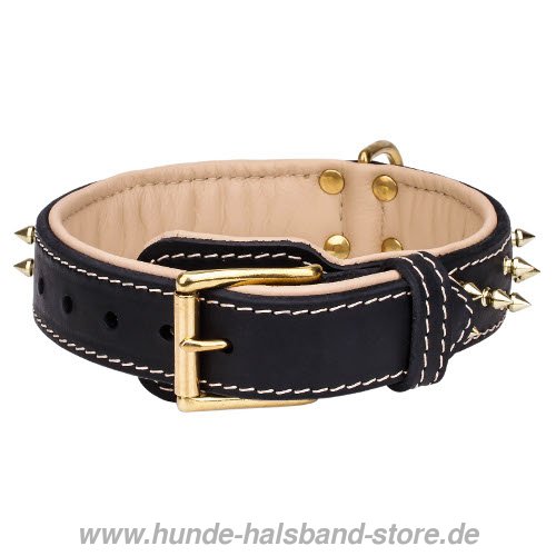 Lederhalsband gepolstert